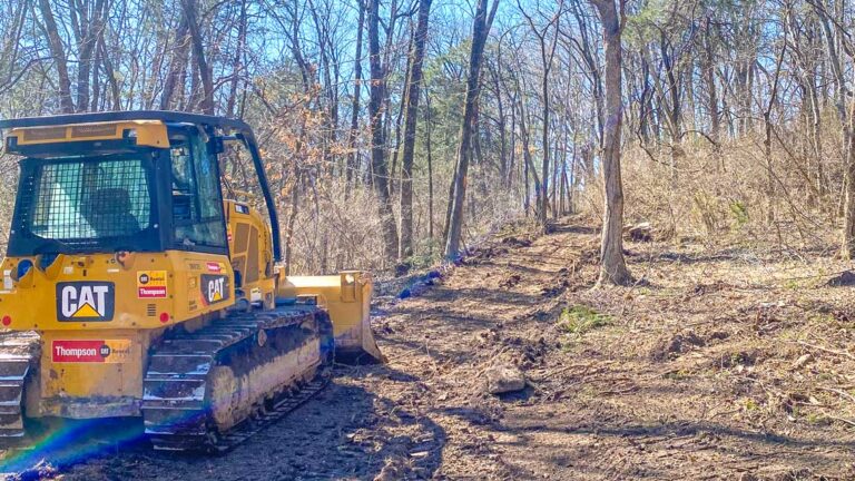 Clearing woodland for site access