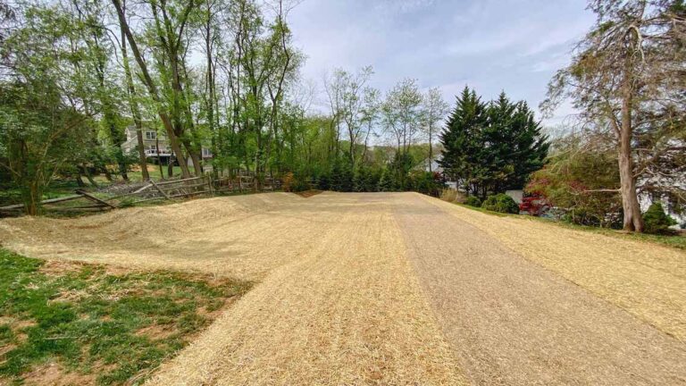 Seed and straw is applied