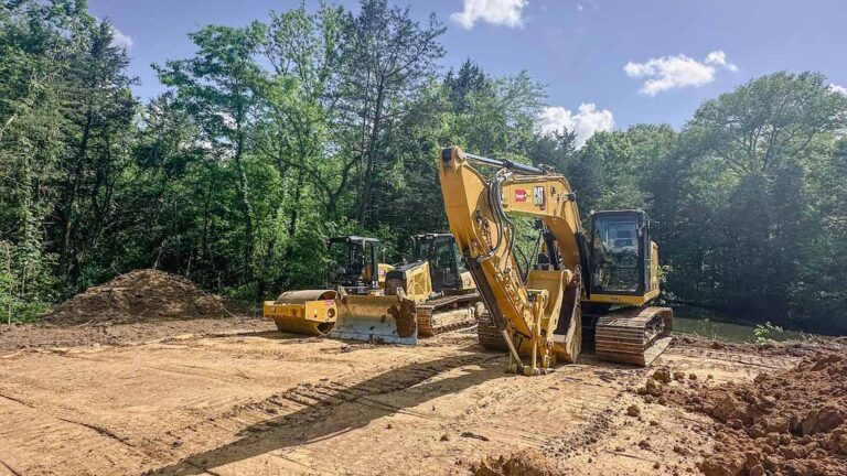 What was once dense woods