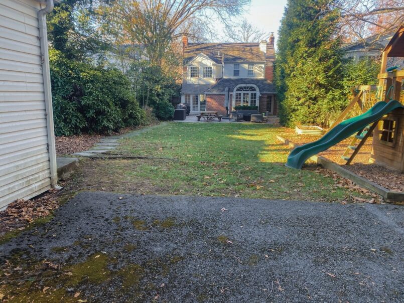 A look at the backyard prior