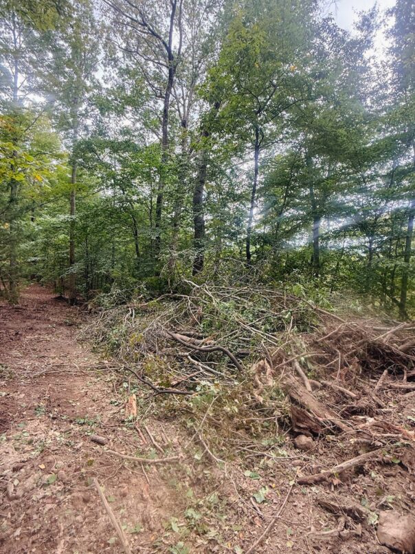 At BedRock, our demolition and excavation services