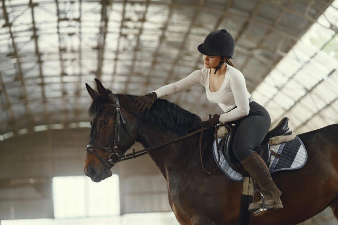 Equestrian Arenas