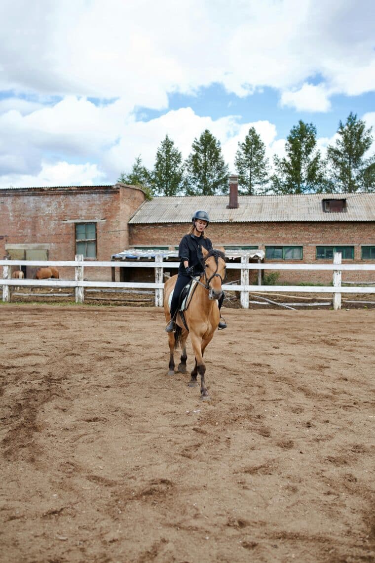 Equestrian Arenas