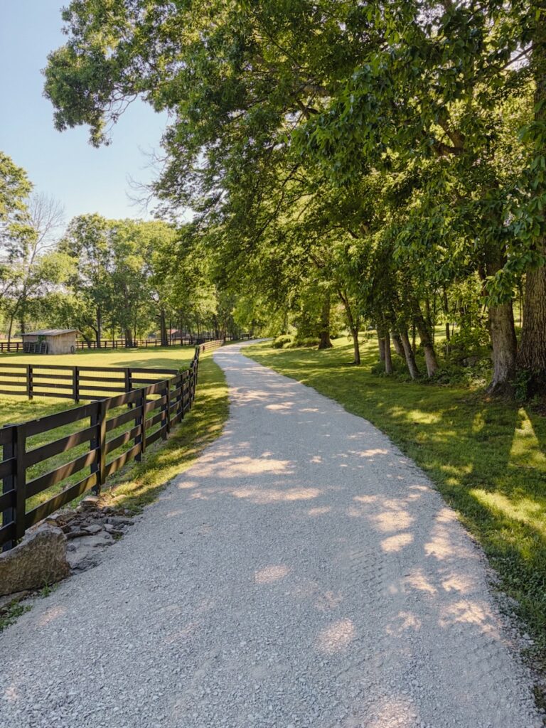 The original driveway