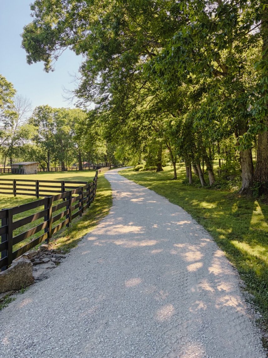 The original driveway