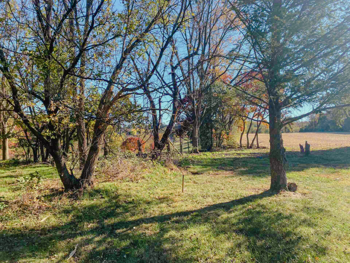 Bought Raw Land? Here's What to Do Before You Build