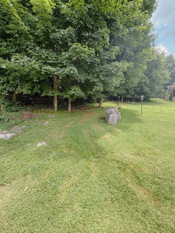 Areas along the edge of the property