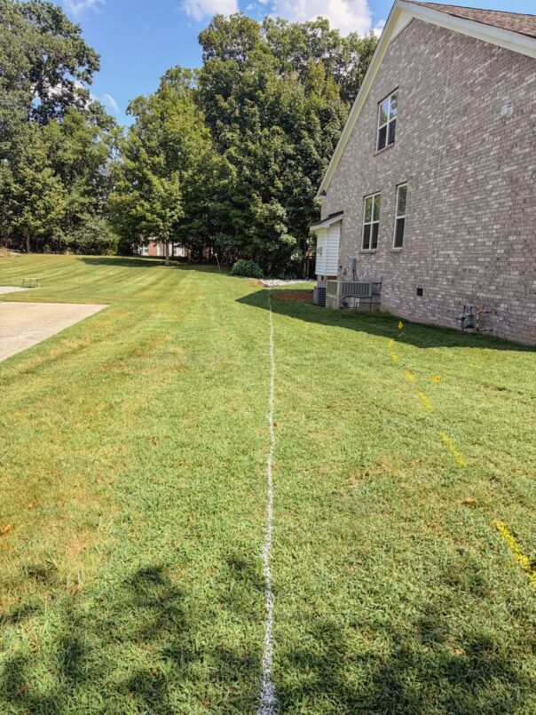 The white line